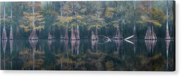 Abstract Acrylic Print featuring the photograph Line of Cypress in Fog - Panorama by Alex Mironyuk
