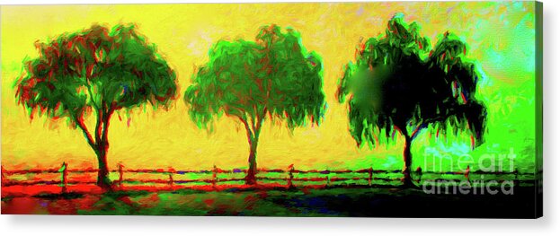 Trees Acrylic Print featuring the photograph Three Pepper Trees by Jerome Stumphauzer
