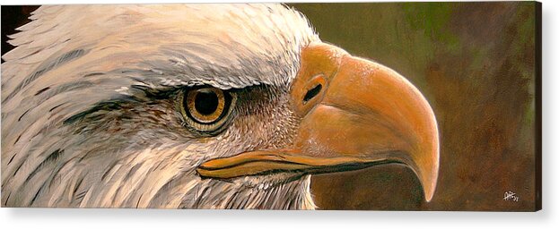 Bald Acrylic Print featuring the painting Bald Eagle by Arie Van der Wijst