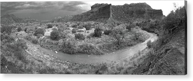 Richard E. Porter Acrylic Print featuring the photograph Drought Buster, CAprock Canyons State Park, Texas by Richard Porter