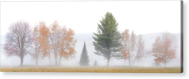 #fall#autumn#maine#landscape#sunrise#color#waterford#mountains#t Acrylic Print featuring the photograph Fall Lineup by Darylann Leonard Photography