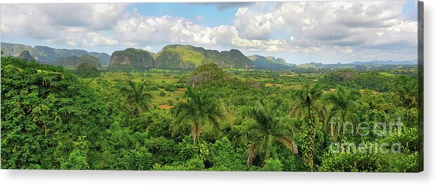 Cuba Acrylic Print featuring the photograph Panoramic view of Cuban green rain forest by Mendelex Photography