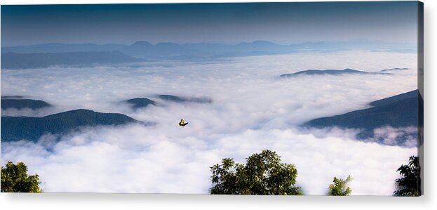 Nature Acrylic Print featuring the photograph Ascending Hope #1 by Everett Houser