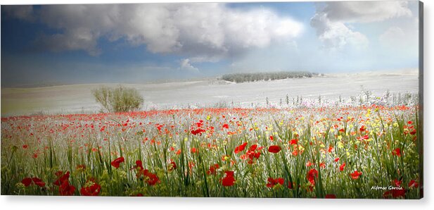 Flowers Landscape Acrylic Print featuring the photograph Amanecer en Ajofrin by Alfonso Garcia
