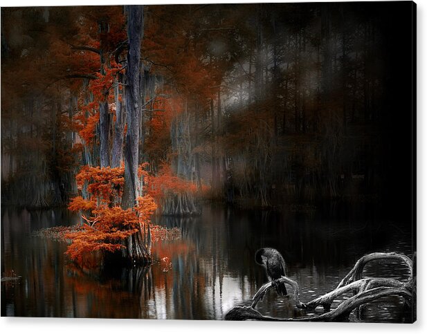 Lake Acrylic Print featuring the photograph DramaticLake2 by Cecil Fuselier