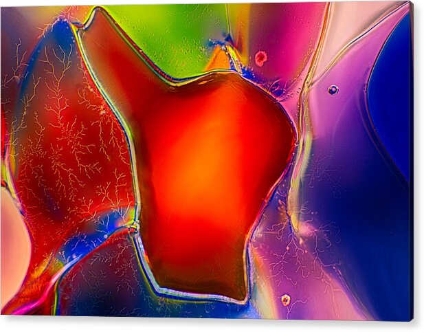 Abstract Acrylic Print featuring the photograph Hearts by Omaste Witkowski