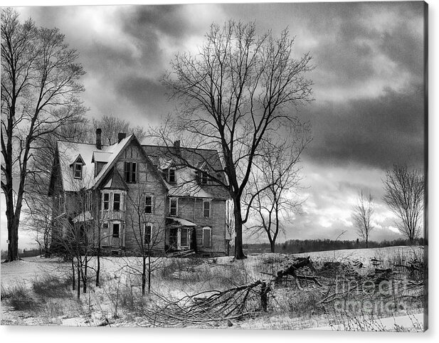 Michele Acrylic Print featuring the photograph Long Hard Winter by Michele Steffey
