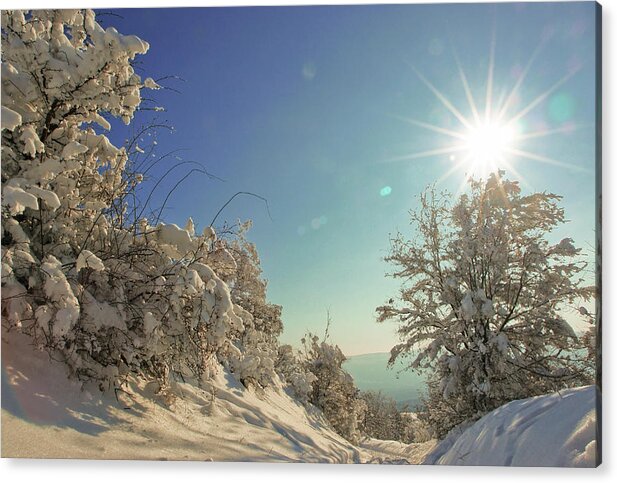 Path Acrylic Print featuring the photograph Path covered with snow in a sunny winter day by Vlad Baciu