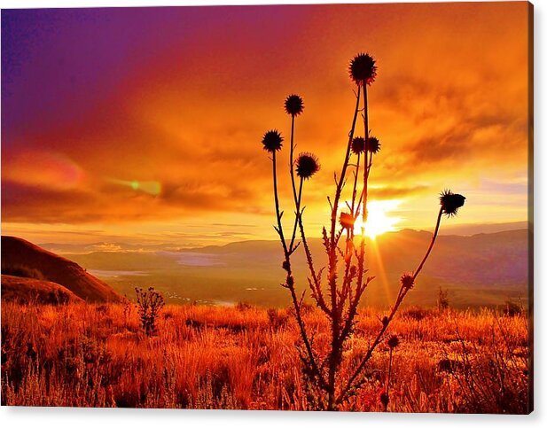 Jackson Hole Acrylic Print featuring the photograph What a morning by Catie Canetti
