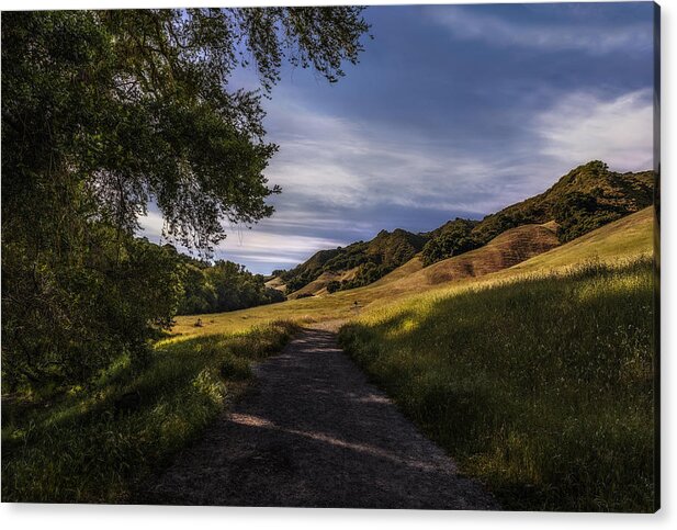 Trampas Acrylic Print featuring the photograph Solitude by Don Hoekwater Photography