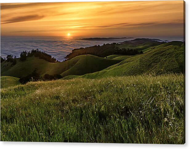 California Acrylic Print featuring the photograph Green Fields at Sunset by Don Hoekwater Photography