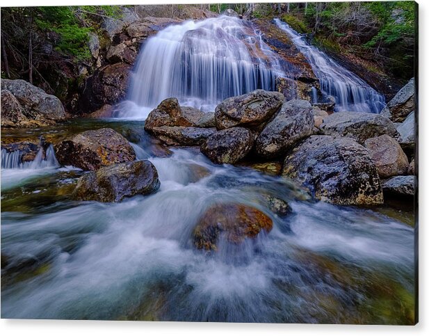 Forest Acrylic Print featuring the photograph Thompson Falls, Pinkham Notch, NH by Jeff Sinon