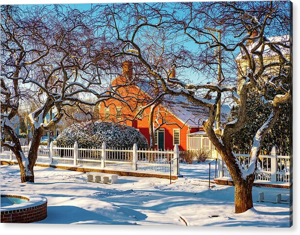 New Hampshire Acrylic Print featuring the photograph Morning Light, Winter Garden. by Jeff Sinon