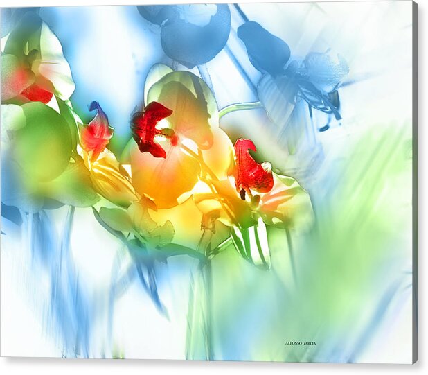 Abstract Flowers Acrylic Print featuring the photograph Flores en la Ventana by Alfonso Garcia