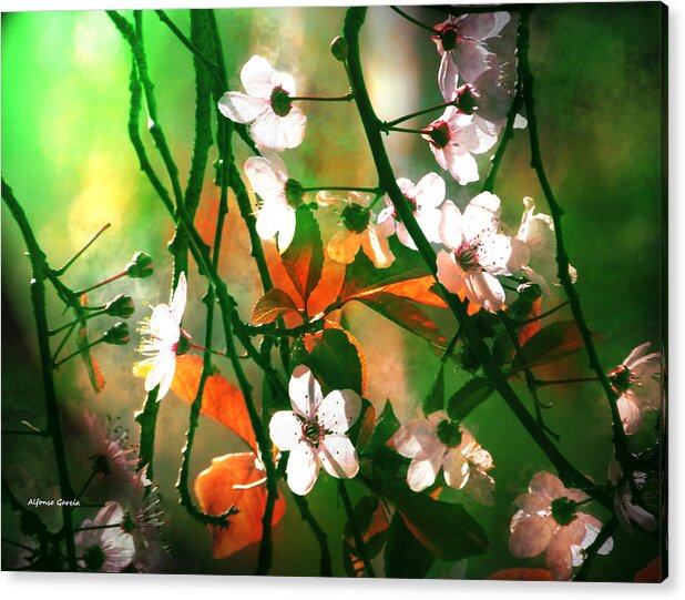 Flowers Alfonso Acrylic Print featuring the photograph Armonia en la Naturaleza by Alfonso Garcia