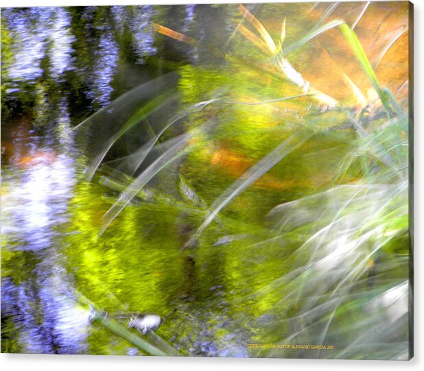 Artistis Photo Abstract Acrylic Print featuring the photograph Water and Wind by Alfonso Garcia