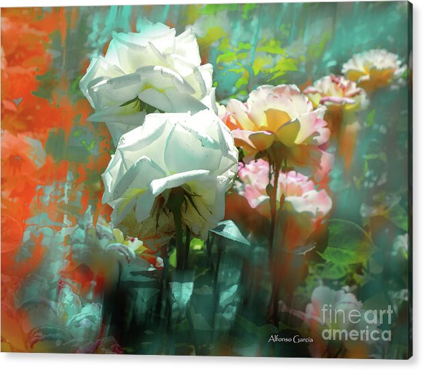 Design Acrylic Print featuring the photograph Flores de Junio by Alfonso Garcia