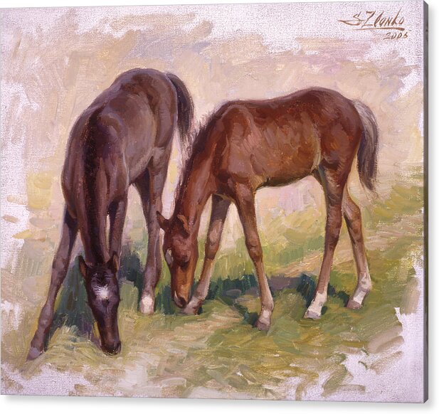 Animals Acrylic Print featuring the painting Colts by Serguei Zlenko