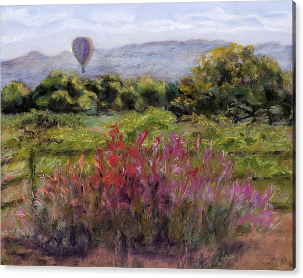 Rio Grande Bosque Acrylic Print featuring the painting Bosque Balloon View by Julie Maas