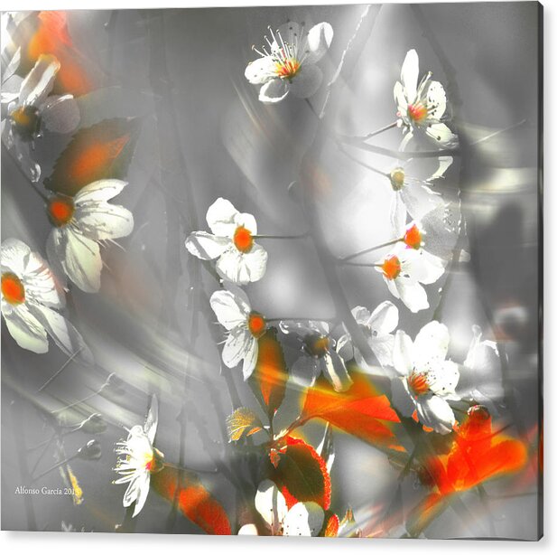 Spring Photography Acrylic Print featuring the photograph Ven ya Primavera by Alfonso Garcia