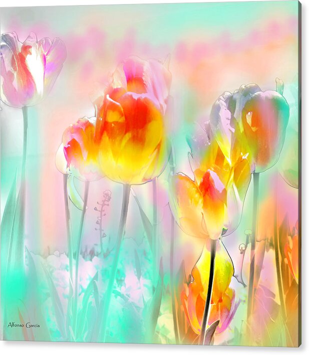 Tulipanes Acrylic Print featuring the photograph Tulipanes de Largo by Alfonso Garcia
