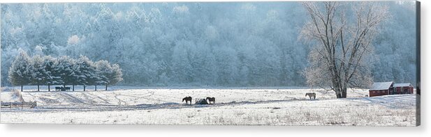 Farm Acrylic Print featuring the photograph Frosty Morning by Bill Wakeley