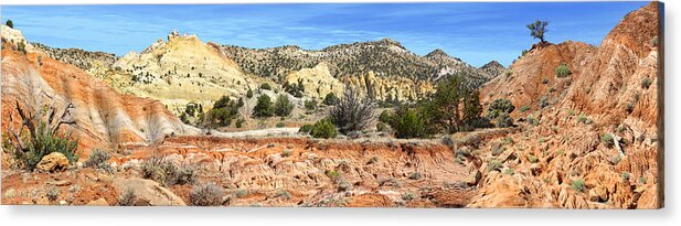 Desert Acrylic Print featuring the photograph Backroads Utah Panoramic by Mike McGlothlen