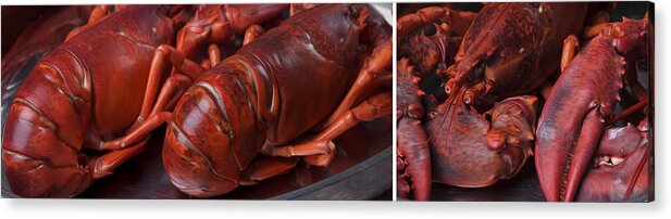 Panorama Acrylic Print featuring the photograph Lobster by Nailia Schwarz