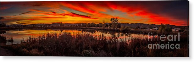 Freflections Acrylic Print featuring the photograph Airport Pond Sunrise by Robert Bales