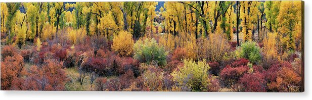 Idaho Scenics Acrylic Print featuring the photograph Autumn Panoramic by Leland D Howard