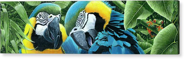 Bird Acrylic Print featuring the painting Blue & Yellow Macaws by Durwood Coffey