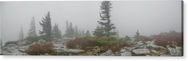 Monongahela Acrylic Print featuring the photograph Dolly Sods Fog Panorama by Carolyn Hutchins