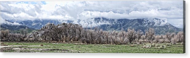 Spring Acrylic Print featuring the photograph Hanning Flat by Hugh Smith