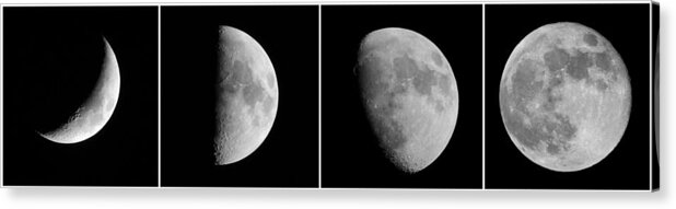 Moon Acrylic Print featuring the photograph The Moon by Jackson Pearson