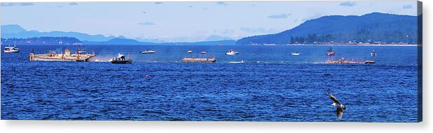 Yogn 82 Acrylic Print featuring the photograph Yogn 82 #9 by Michelle Pennell
