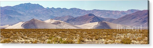 Big Dune Nevada Panorama Acrylic Print featuring the photograph Big Dune Nevada Panorama by Dustin K Ryan