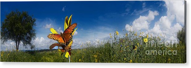 John+kolenberg Acrylic Print featuring the photograph Butterfly Picnic by John Kolenberg