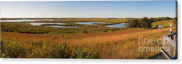 Birds Acrylic Print featuring the photograph Horicon Marsh by Steven Ralser