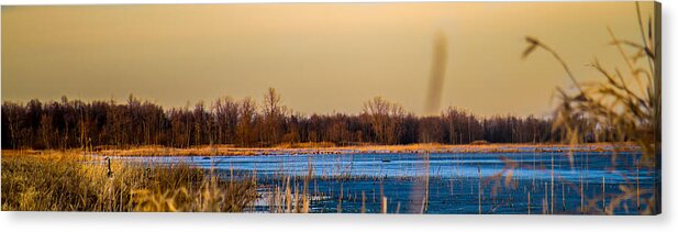 Landscape Acrylic Print featuring the photograph Panoramic Goose Home by Bruno Santos