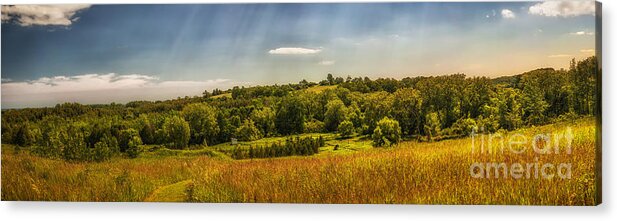 Landscape Acrylic Print featuring the photograph Summer countryside by Elena Elisseeva
