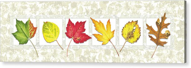 Jon Q Wright Acrylic Print featuring the painting Fall Leaf Panel by JQ Licensing