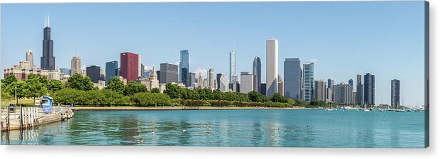 Chicago Acrylic Print featuring the photograph Chicago Skyline by David Hart