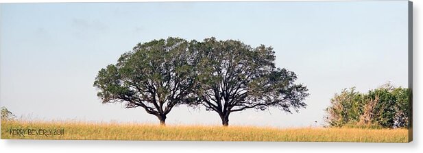 Texas Acrylic Print featuring the photograph US Route 90 by Kerry Beverly