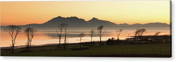 Water's Edge Acrylic Print featuring the photograph Bare Trees At Coast by Image By Peter Ribbeck