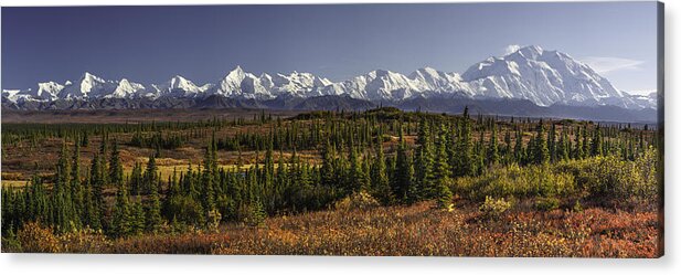 Alaska Acrylic Print featuring the photograph Denali Tundra by Ed Boudreau