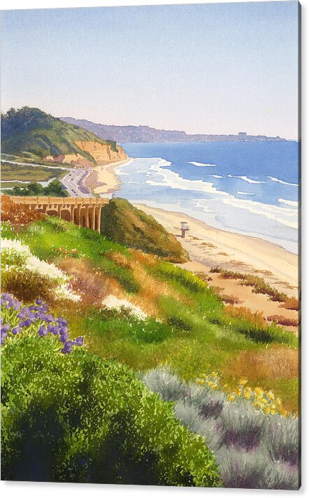 Spring View of Torrey Pines by Mary Helmreich
