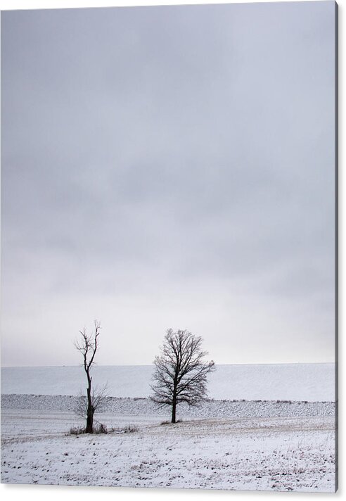 Winter Snow Trees Desolate Monochrome White Clouds Sky Dike Solitude Peace Quiet Ohio Serenity Acrylic Print featuring the photograph Trees in Snow Field - left by Mark Berman