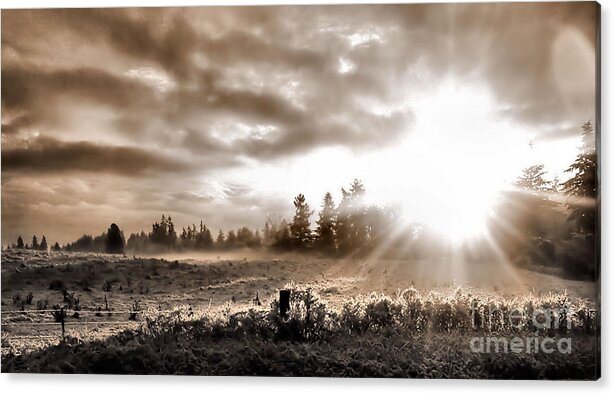 Landscape Acrylic Print featuring the photograph Hope II by Rory Siegel