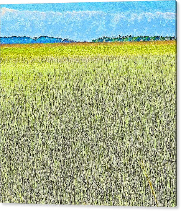 Seagrass Acrylic Print featuring the photograph Endless Seagrass of Savannah by Island Hoppers Art