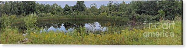 Honeoye Lake Acrylic Print featuring the photograph The Pond #1 by William Norton